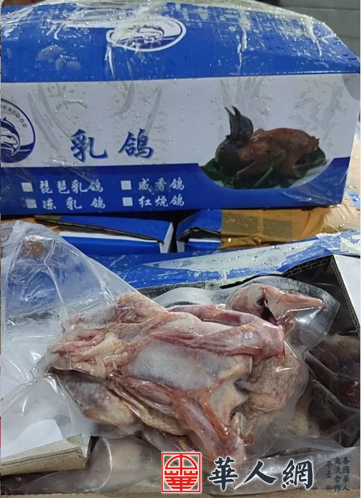 微信图片_20240222153723.png