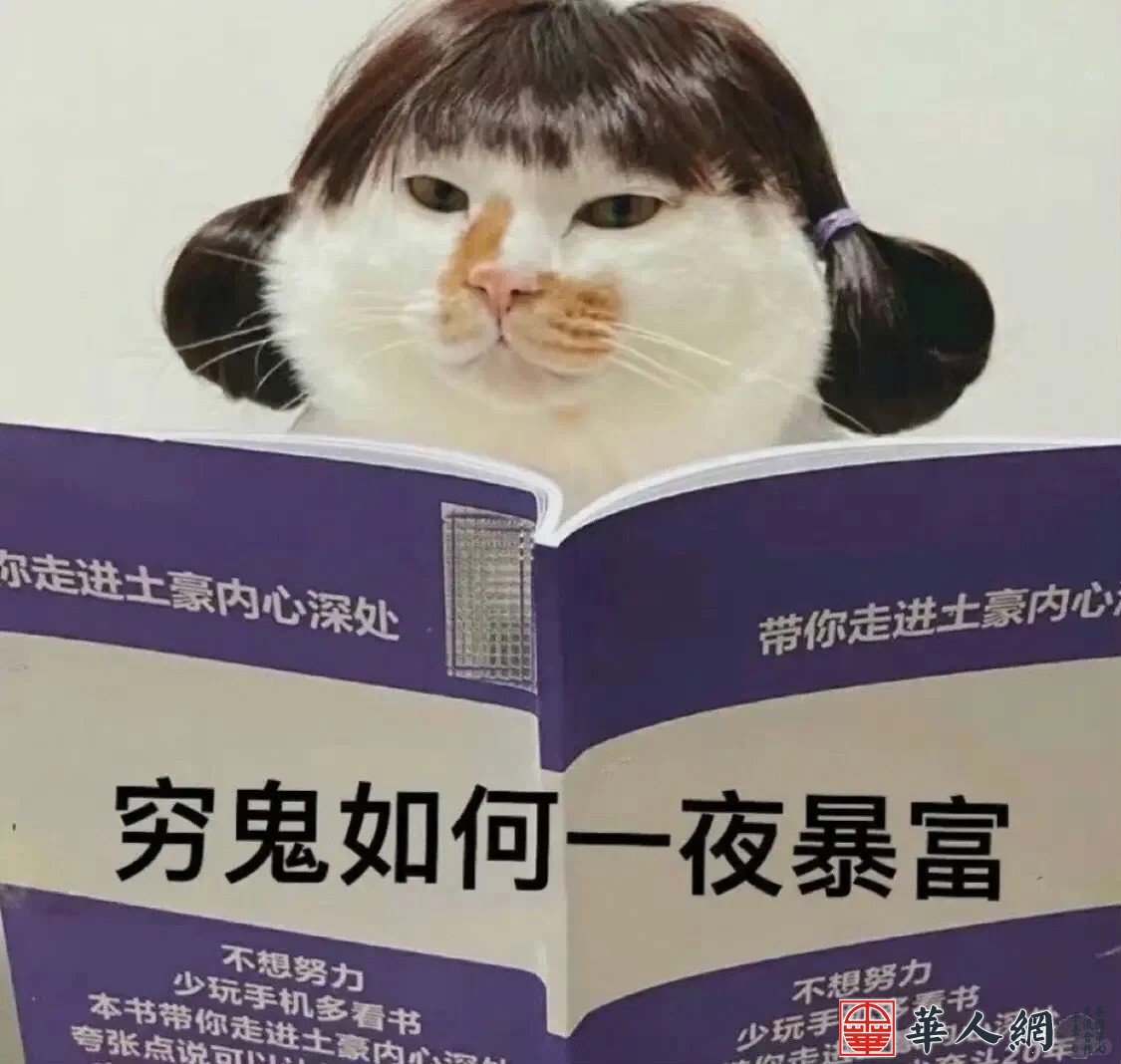 趁热打铁再来一番_1_小番茄一斤_来自小红书网页版.jpg