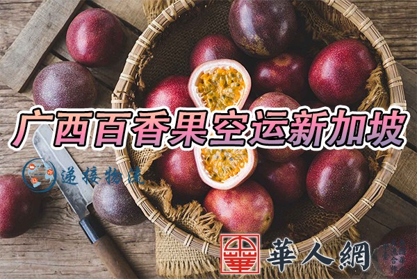 广西百香果空运新加坡