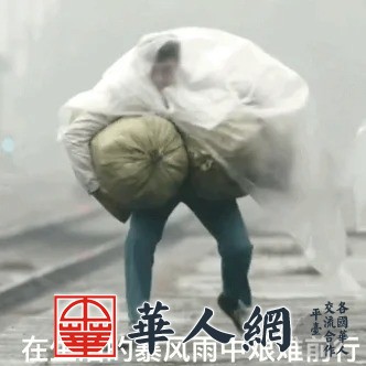 扛被子扛成了张译老师表情包_1_皮卡越山丘_来自小红书网页版 (1).jpg