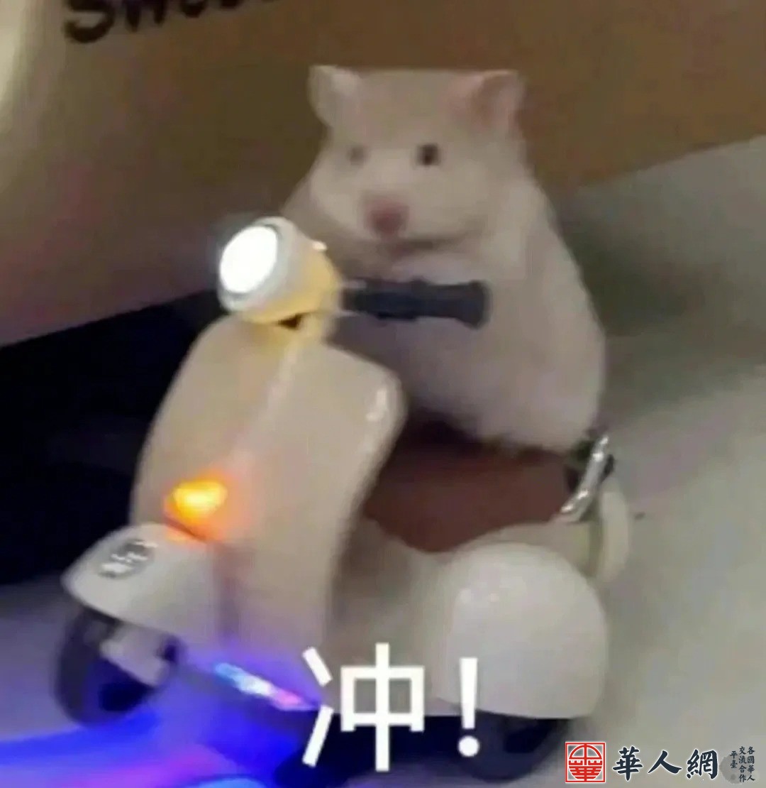 表情包冲冲_1_董礼貌_来自小红书网页版.jpg