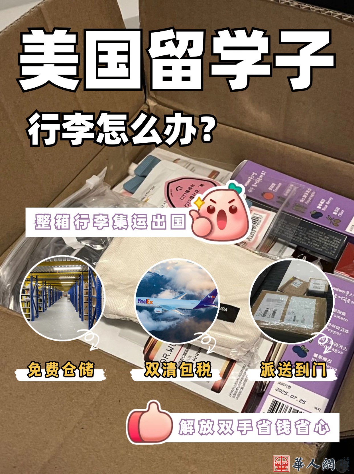 房地产攻略指南实景感小红书配图.jpg