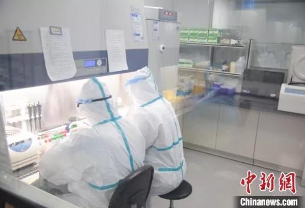 每一份样本的检测，都需要经过十几步的操作，过程要持续大约5-6个小时。　马瑾 摄