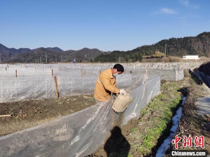 农业大省安徽防疫春耕两不误 300余万人备战春耕生产