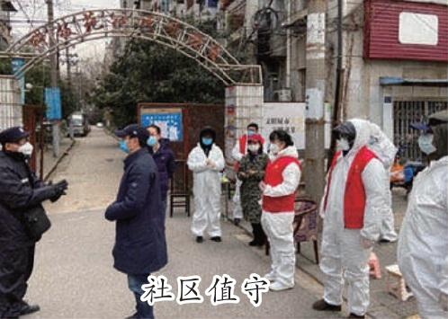 守望·一只流浪狗的战“疫”日记