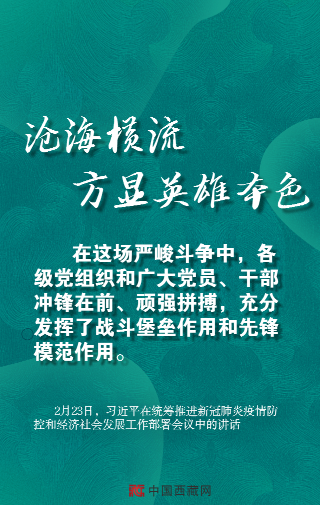 疫情当前，8张海报看习近平要求党员干部怎么做