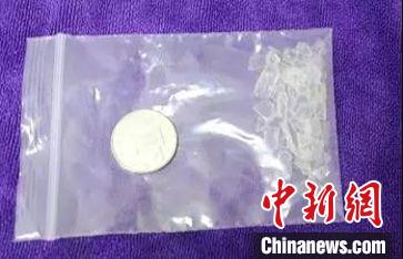 中外科学家解锁鄂尔多斯盆地4亿年前“海洋之谜”