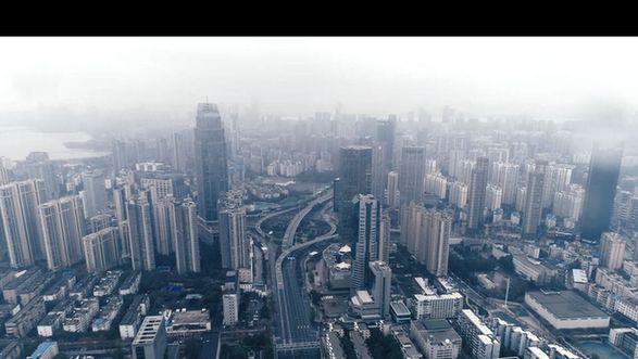 金句来习丨等花开疫散，我们一起回家！