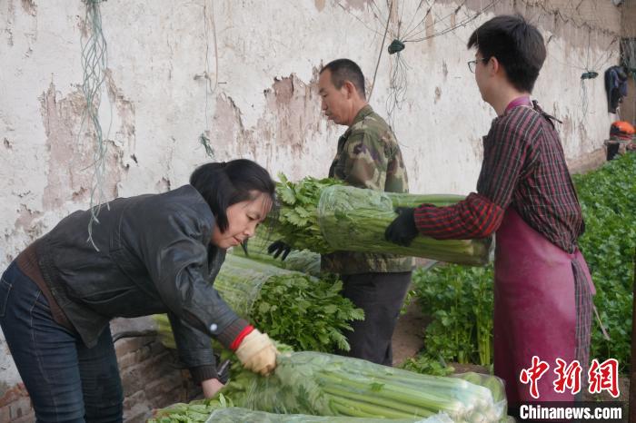 疫情防控不放松 中国北方抢抓农时备耕忙(图)