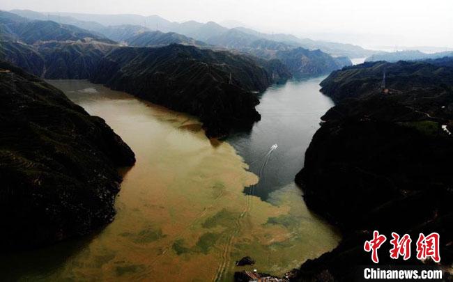 图为洮河水在与黄河交汇处的刘家峡水库清波“相遇”时，形成“泾渭分明”的奇观。(资料图) 杨艳敏 摄