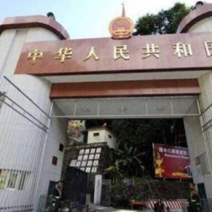 日籍华人掀起回国热潮，统统被海关拒国门之外，想回就回吗？