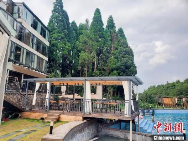 这个侨乡的民宿火了！侨界助力乡村振兴探出新路