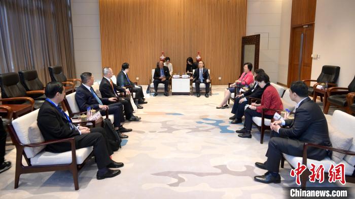 中外人士跨界探讨“中国式现代化与华侨华人”