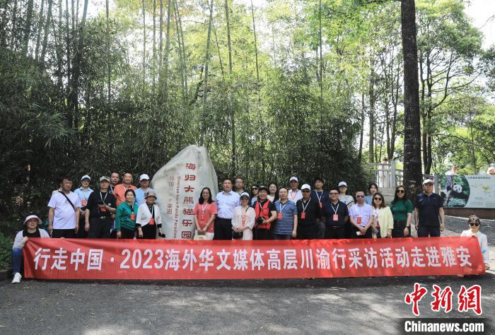 “行走中国·2023海外华文媒体高层川渝行”参访团走进中国大熊猫保护研究中心雅安基地。　王磊 摄