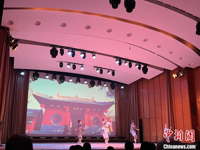 图为晚会上武术表演。　华人网记者 马秀秀 摄 
