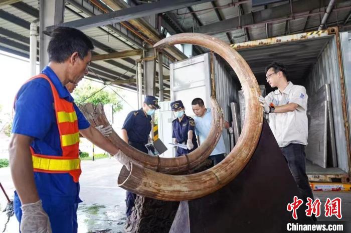 陈嘉庚后人向厦门华侨博物院捐赠43件百年文物