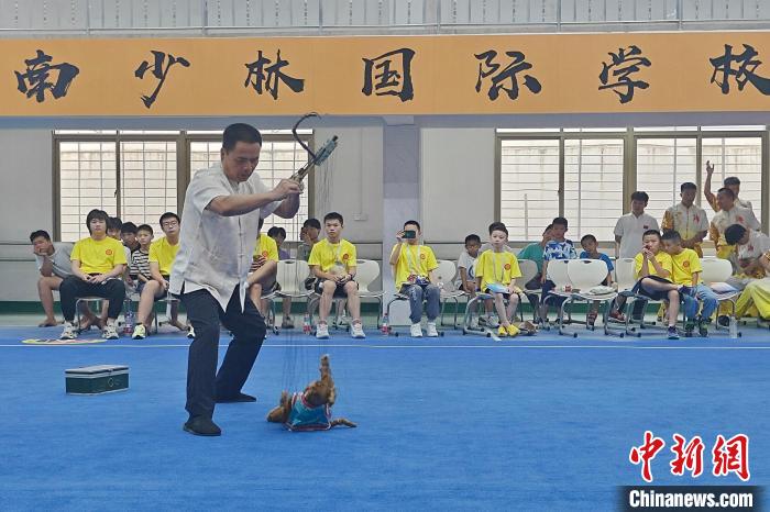 侨界子女走进“世遗泉州”研学：感受中华文化魅力
