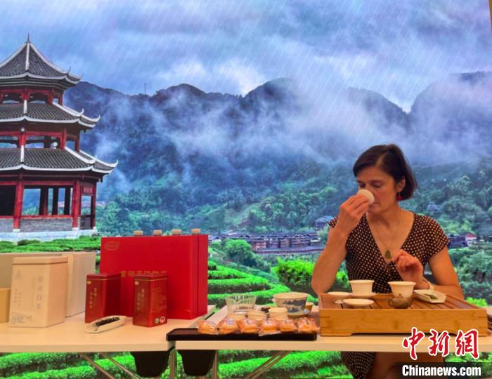 “三江侗茶·茗扬四海：中国茶源欧洲品茗推介会”柏林举行