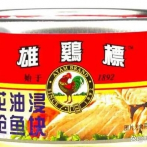 华人国家新加坡有多厉害？从这30个角度给你讲清楚