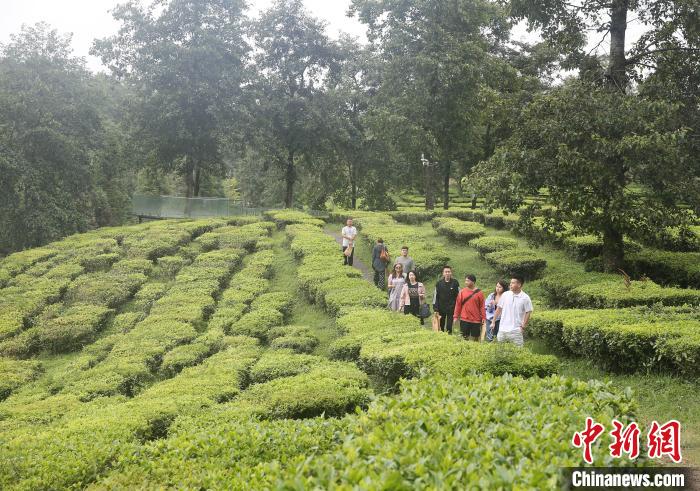 云南“以侨为桥”搭建平台 侨胞在滇觅得发展新机遇