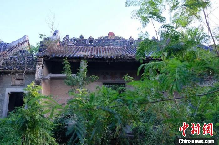 美籍华人江门寻根 为古祠“新生”奔走