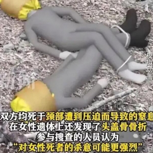 买凶杀人？日本华人老板夫妇遇害，并被焚尸抛弃？嫌疑人浮出水面……