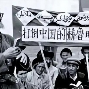 90年代初，有4万多华人祈求重回祖国，为何都被我国拒绝？