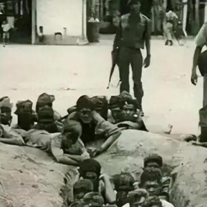 1998年，印尼两次排华，30万华人被屠杀，我国为何没有出兵解决？