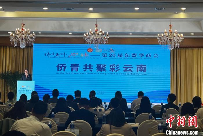 百余名侨青齐聚云南 共话发展机遇