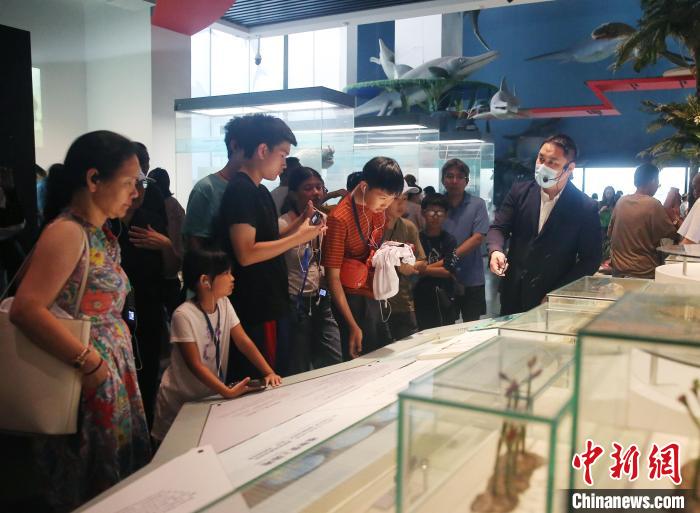 美国华裔青少年感知云南古生物化石的“远古呼唤”