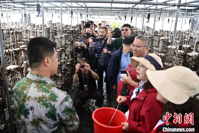 海外华媒甘肃行：见识卓尼的“卓尔不凡”