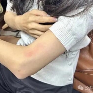 女律师庭审现场遭法警争夺手机后被推倒，第三方律师称“法警行为并无法律依据”