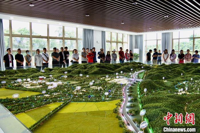 多国侨商探访云南德宏 共寻产业合作发展机遇
