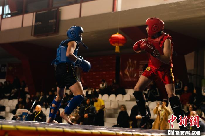 高手过招切磋武艺 阿根廷布市掀起“武林风”