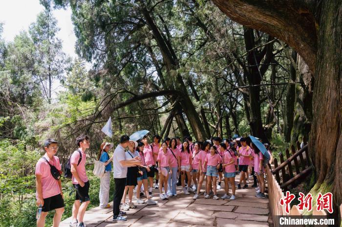 华裔青少年“川”行剑门关 在古蜀道中“寻根”历史