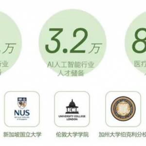 100万华人留学生招聘指南，助力中企出海人才国际化