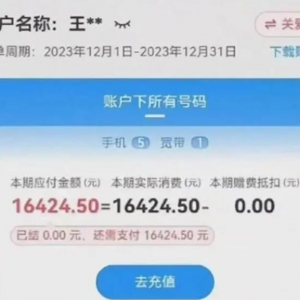 中国电信境外上网无封顶：出国发朋友圈流量费一万六