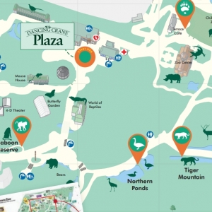 纽约布朗克斯动物园攻略（Bronx Zoo Guide 2025）