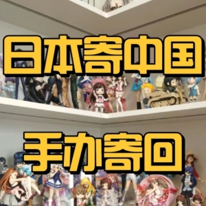 二手日本手办运回国有那些途径？