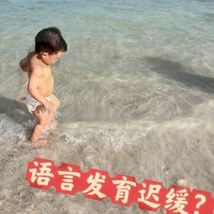语言迟缓美国speech therapist怎么做