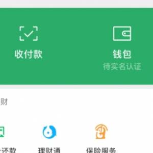 wechat能用护照实名吗？