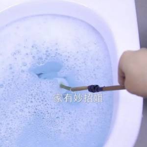 美国马桶堵了怎么办？