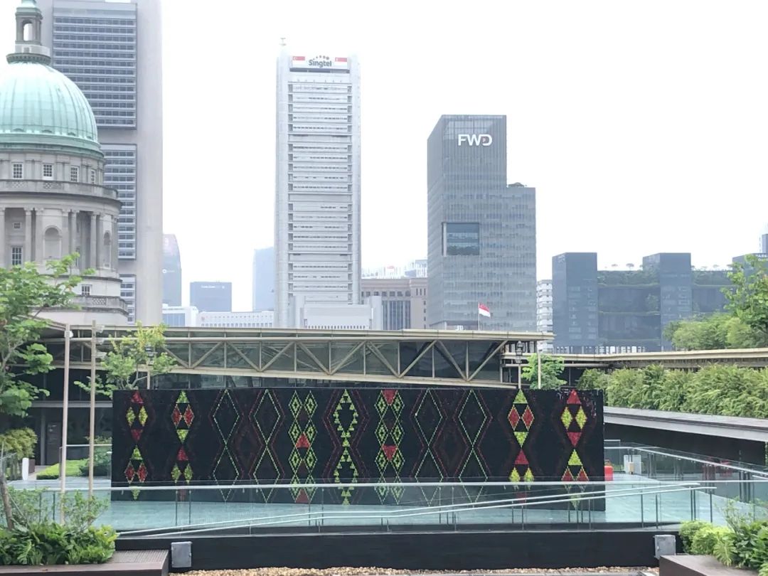 新加坡wp 可以和公民结婚吗