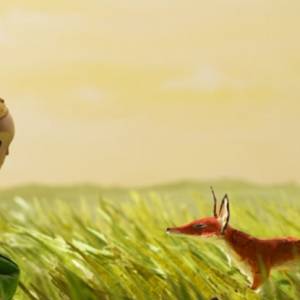 What is the little princes fox in chinese?