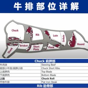 chuck 是牛肉什么部位