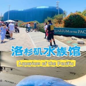 洛杉矶动物园和水族馆 一天内可以玩吗