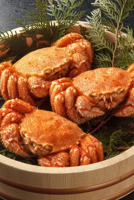 日本美食推荐~独属于北海道的美食风味