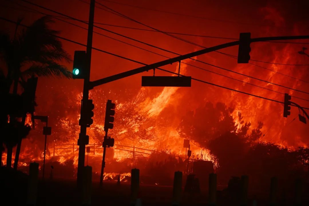 加州山火有多少是由于地方当局管理不善造成的？