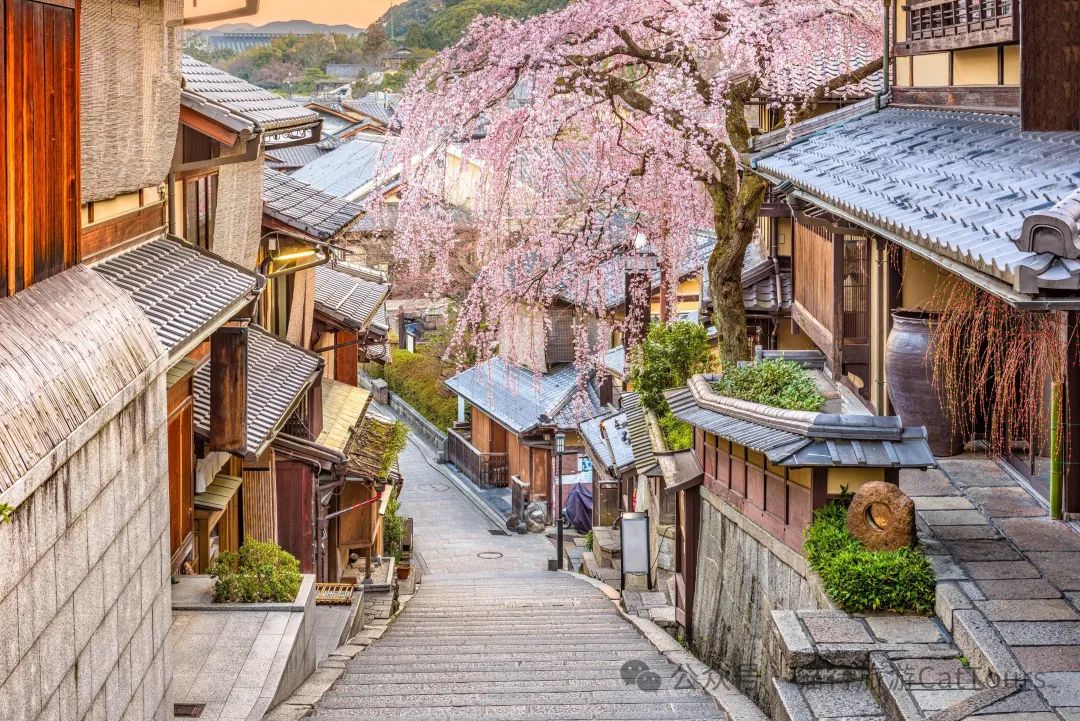 日本签证办理最全攻略：超详细指南